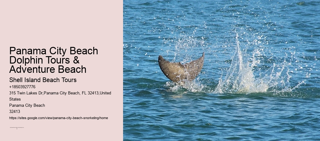 Panama City Beach Dolphin Tours & Adventure Beach