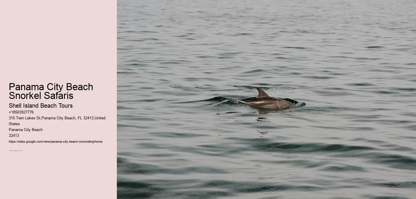 Panama City Beach Snorkel Safaris
