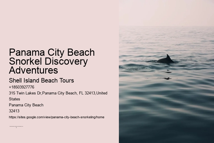 Panama City Beach Snorkel Discovery Adventures