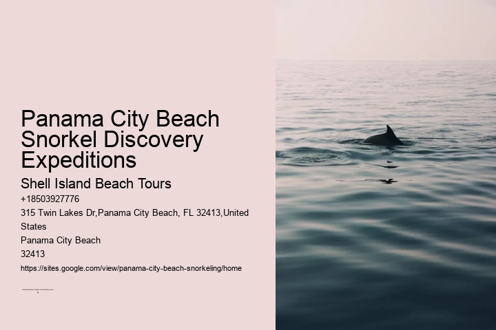 Panama City Beach Snorkel Discovery Expeditions