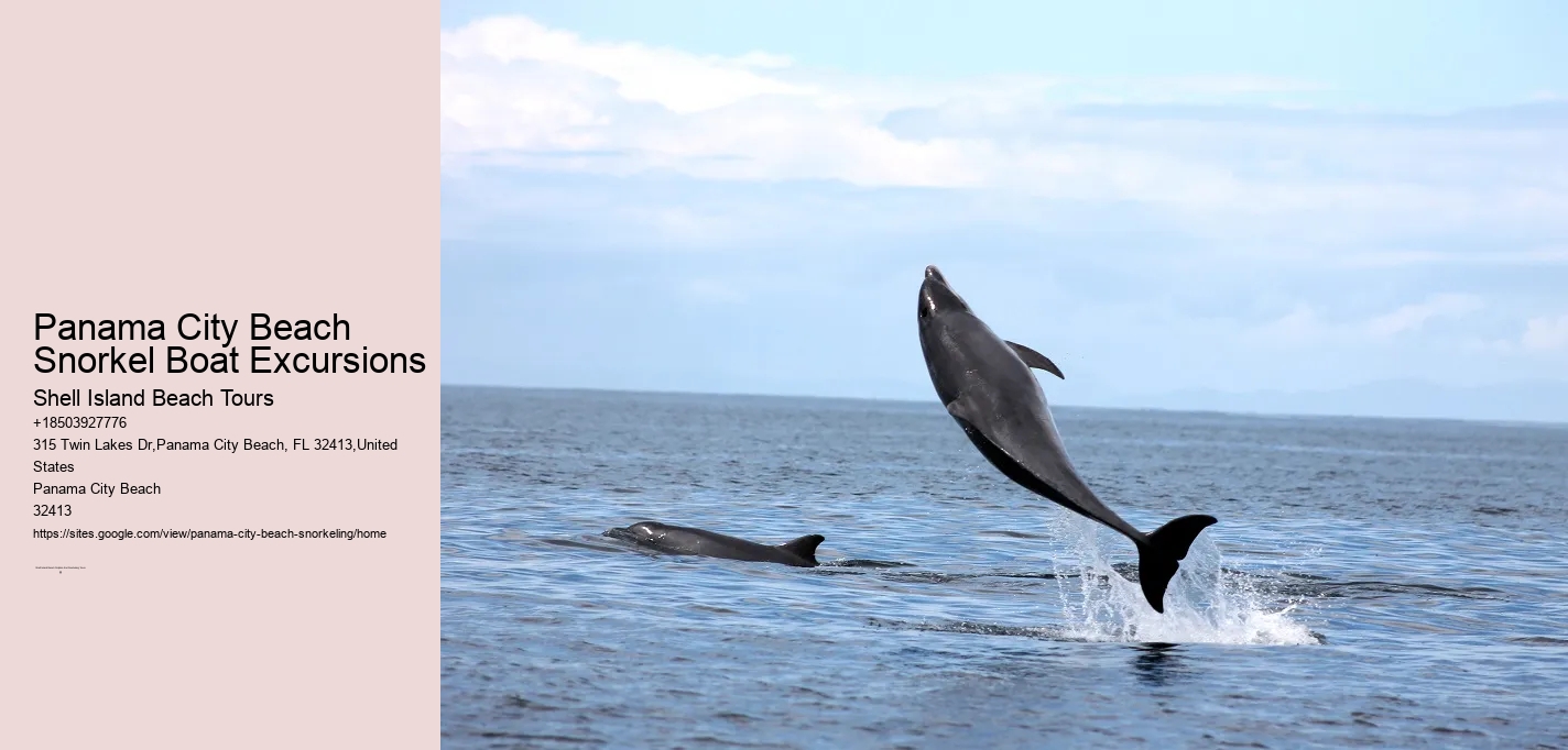 Panama City Beach Snorkel Boat Excursions