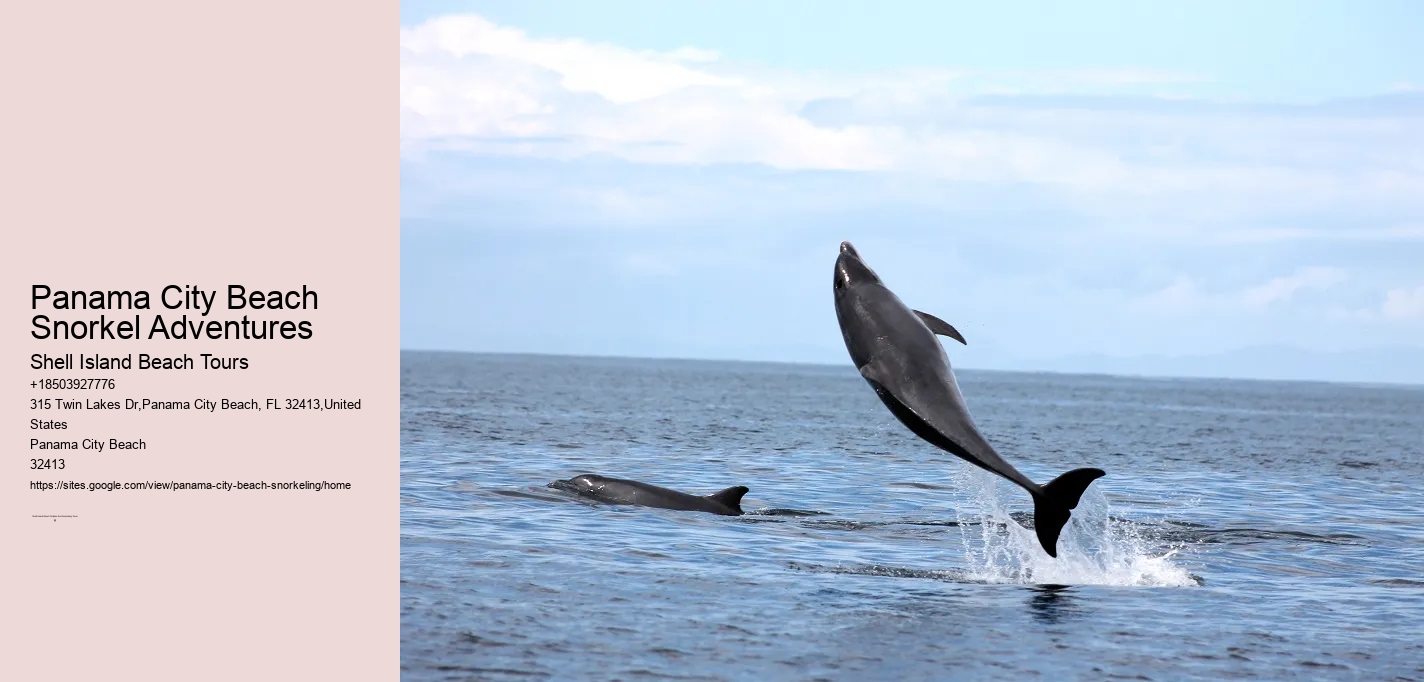 Panama City Beach Snorkel Adventures