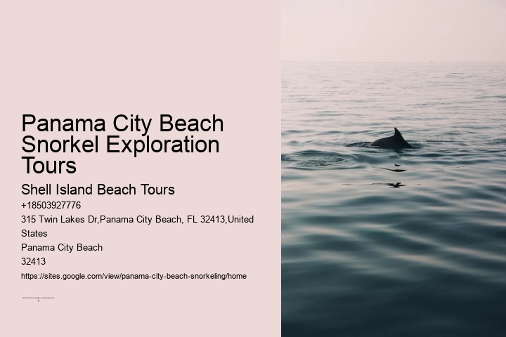 Panama City Beach Snorkel Exploration Tours