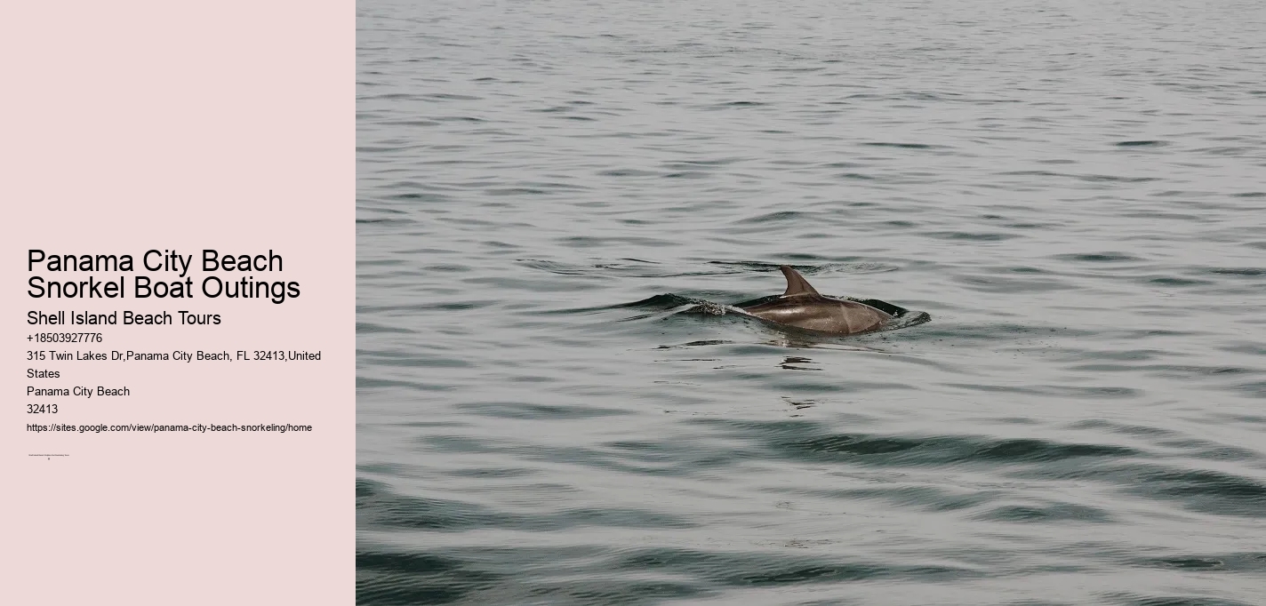 Panama City Beach Snorkel Boat Outings