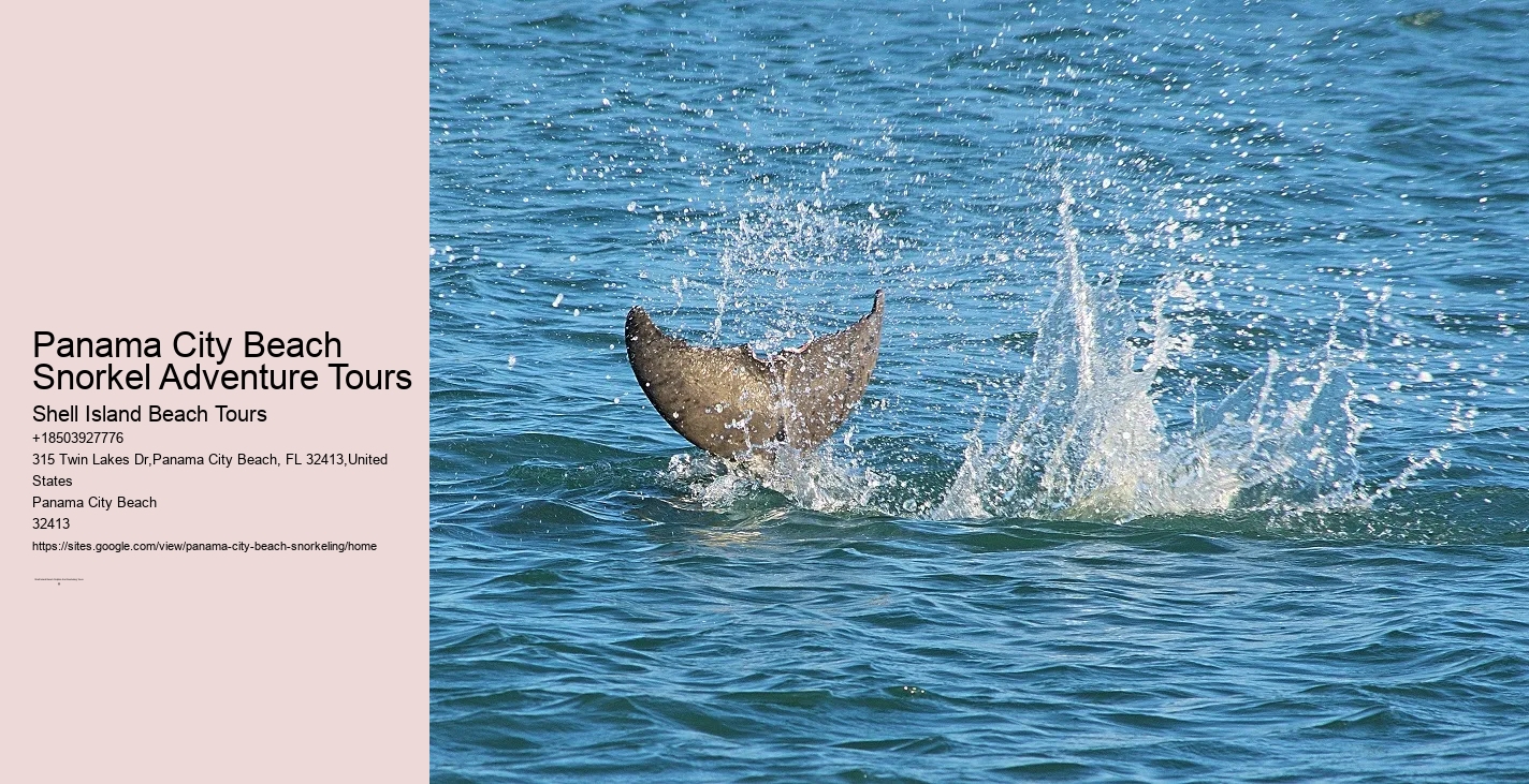 Panama City Beach Snorkel Adventure Tours