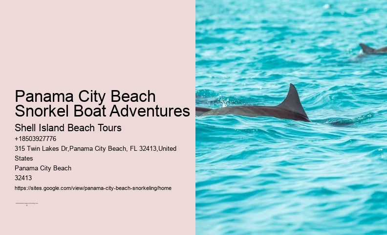 Panama City Beach Snorkel Discovery Tours