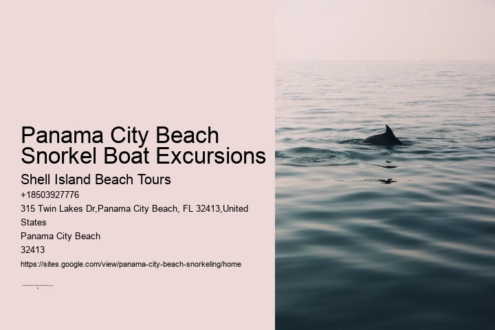 Panama City Beach Snorkeling Tours 920