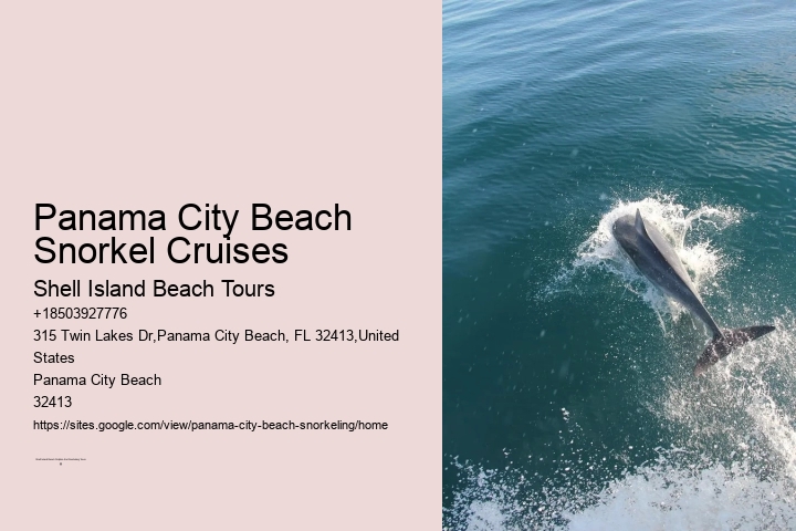 Snorkeling Experiences Departing From Panama City Beach
