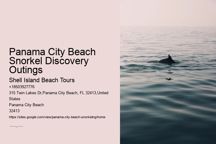 Are Panama City Beach Snorkeling Tours Narrated By Guides