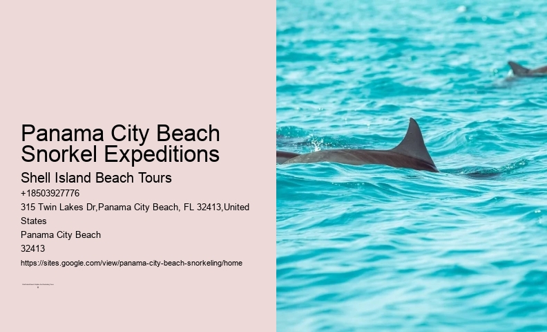 Panama City Beach Snorkel Exploration Tours