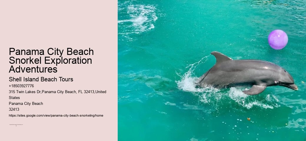 Snorkeling Trips Around Panama City Beach