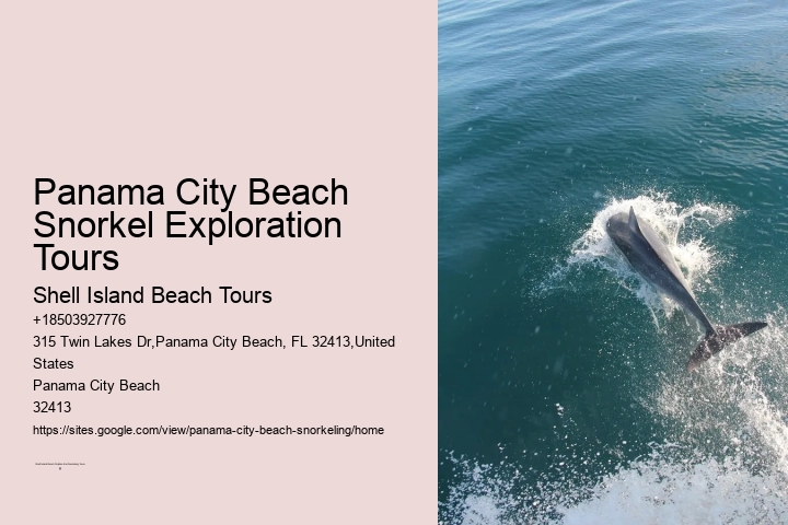 Panama City Beach Snorkeling Tours Eco