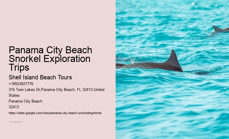 Panama City Beach Snorkeling Tours Florida
