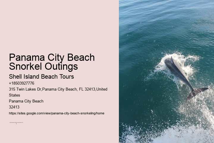 Dolphin And Snorkeling Tours Panama City Beach Beach