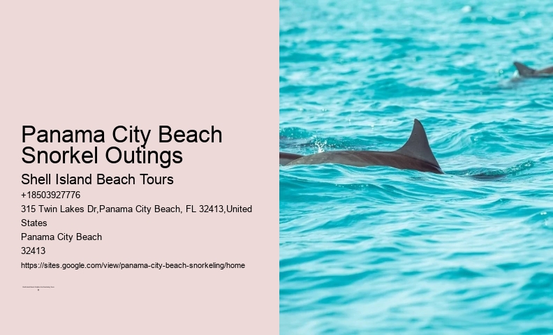 Panama City Beach Beach Snorkel Tour