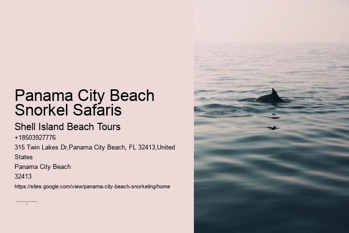 Panama City Beach Snorkeling Tours Facebook