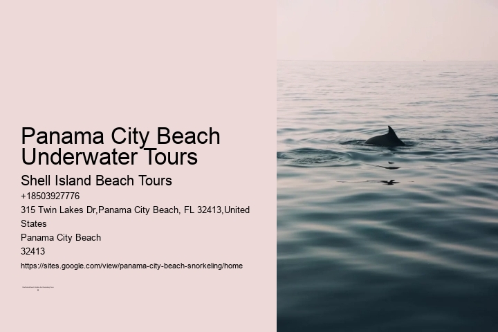 Panama City Beach Underwater Tours