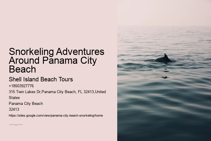 Snorkeling Adventures Around Panama City Beach