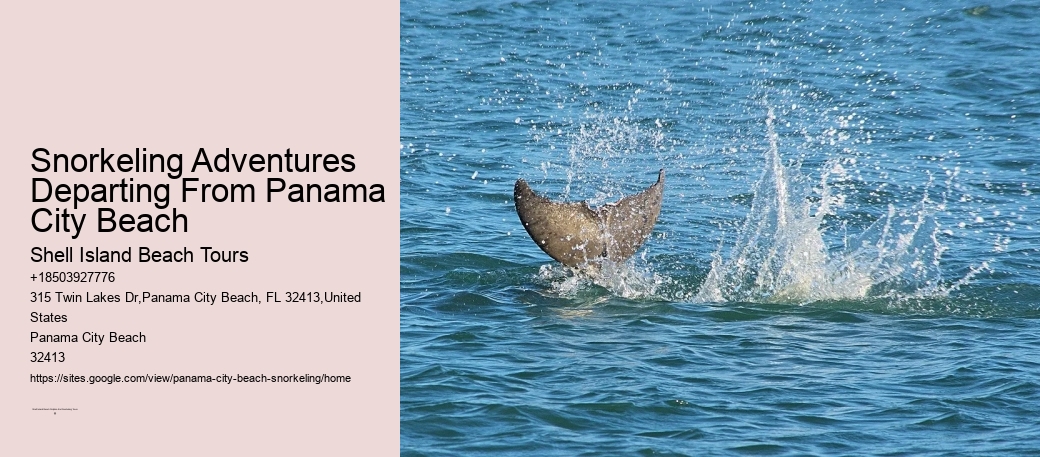 Snorkeling Adventures Departing From Panama City Beach