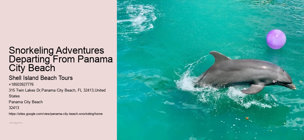 Panama City Beach Snorkel Discovery Cruises