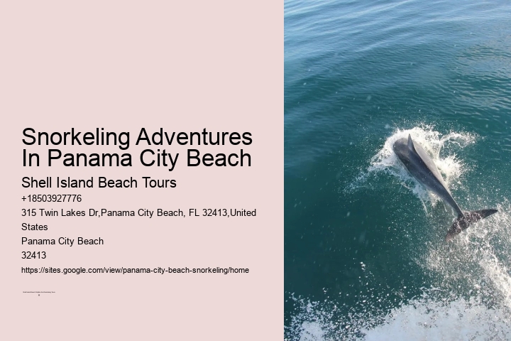 Panama City Beach Snorkeling Tours Lanai