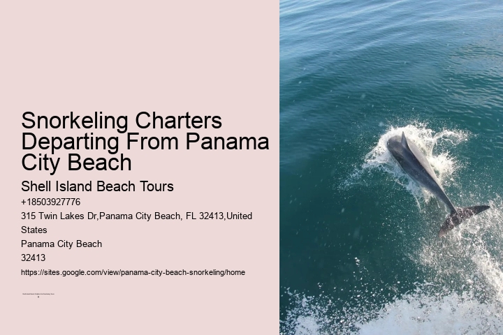 Snorkeling In Panama City