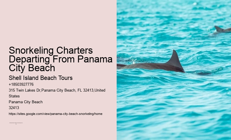 Panama City Beach Snorkeling Tours Center