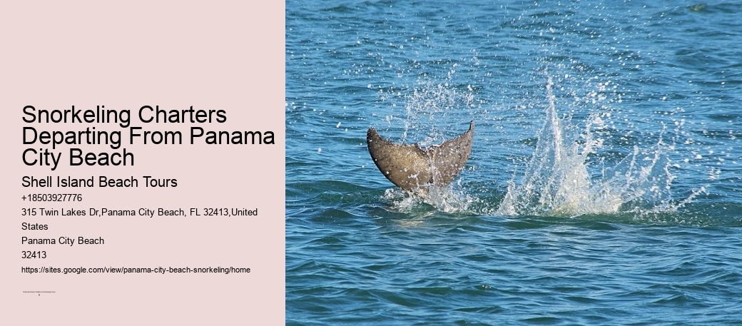Snorkeling Tours Panama City Beach Beach