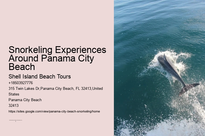 What Is The Guide-to-participant Ratio On The Snorkeling Tours