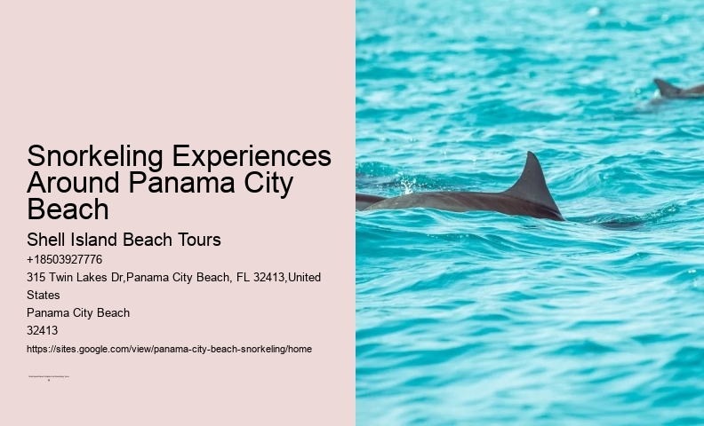 Panama City Beach Snorkeling Tours Orange Beach