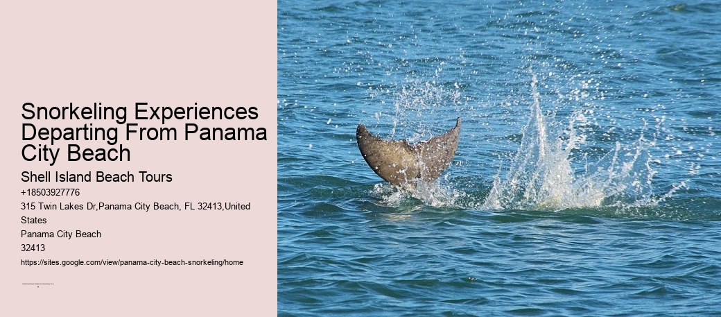 Panama City Beach Snorkeling Tours 6 Points