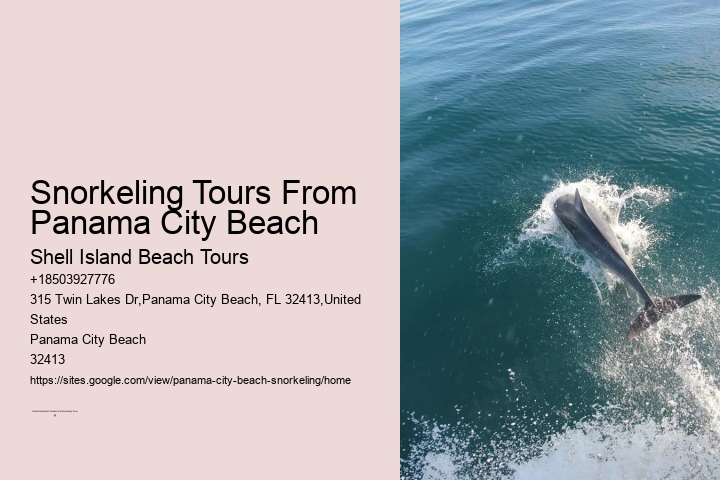 Panama City Beach Snorkel Discovery Tours