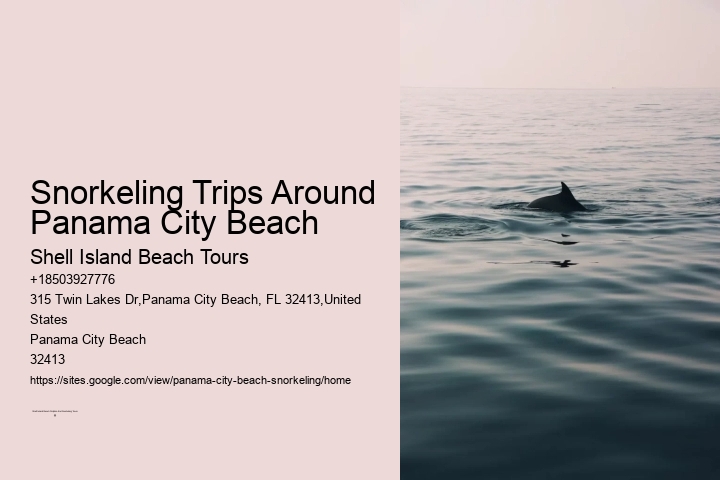 Snorkeling Trips Around Panama City Beach