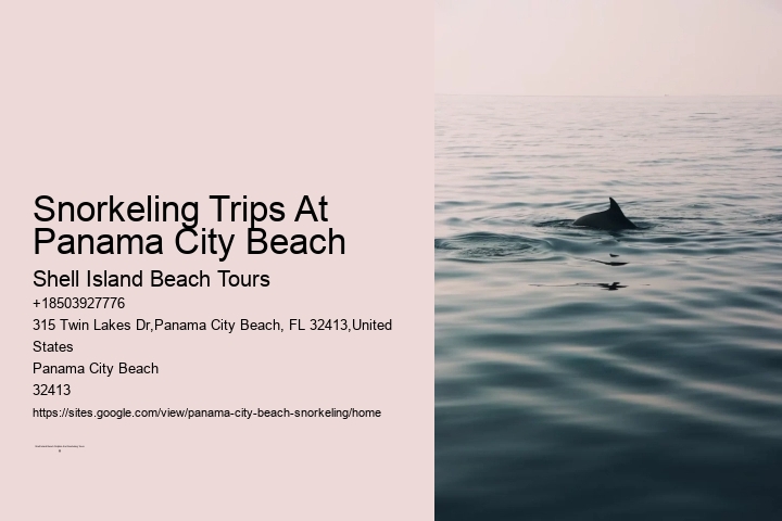 Snorkeling Trips At Panama City Beach