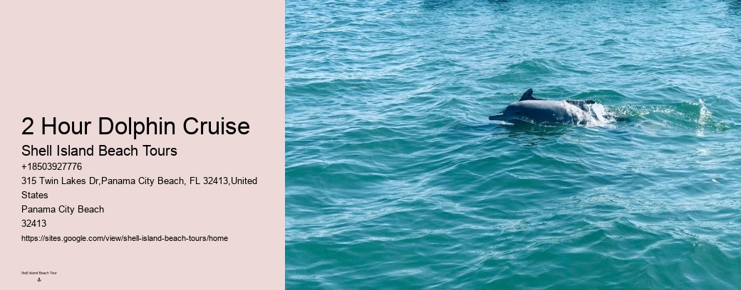 2 Hour Dolphin Cruise