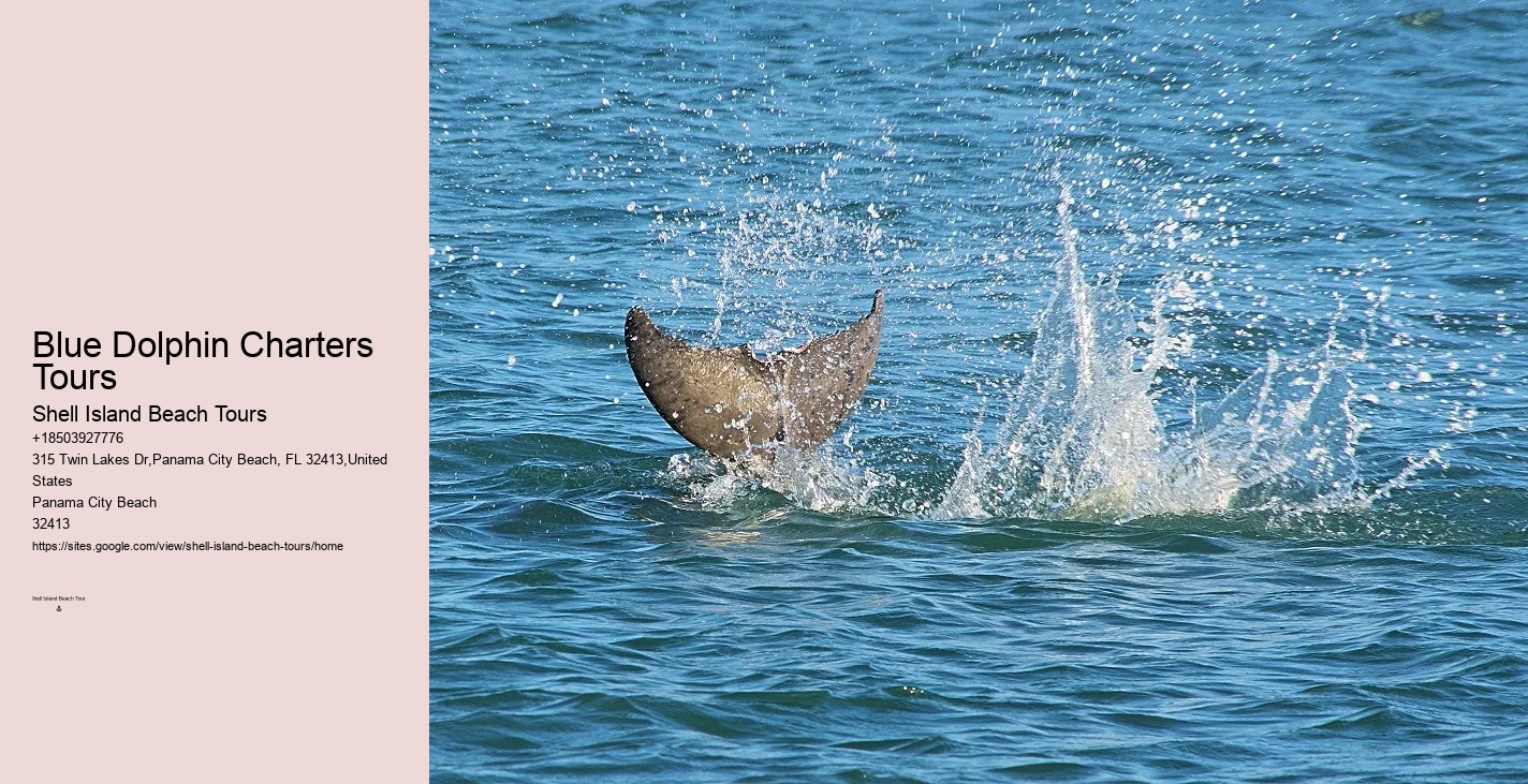 What Is The Life Expectancy Of A Dolphin In Captivity