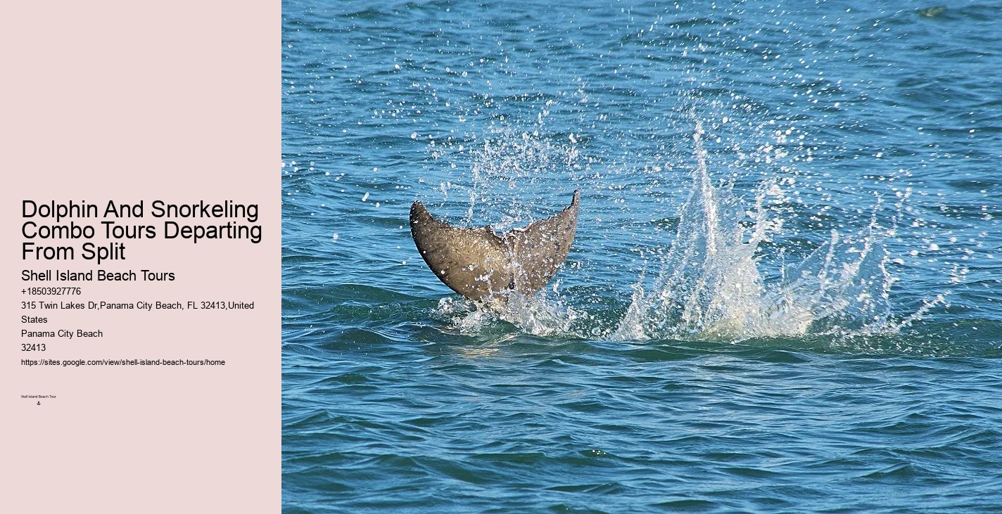 With Dolphins