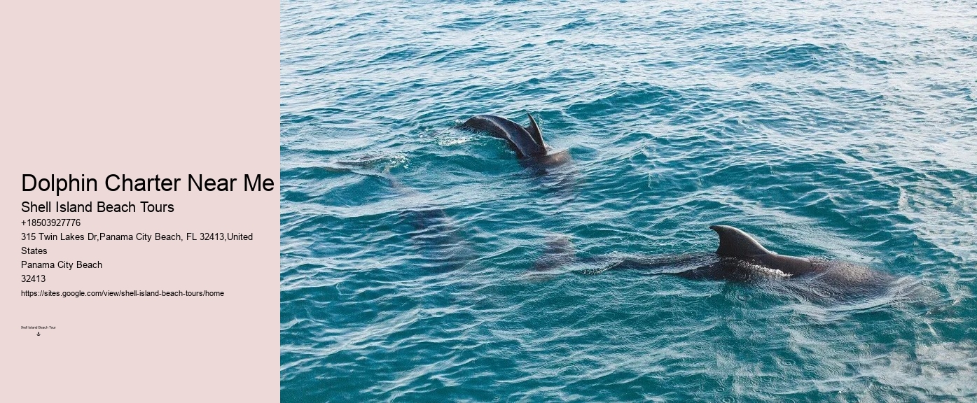 Sunset Dolphin Cruise Panama City Beach