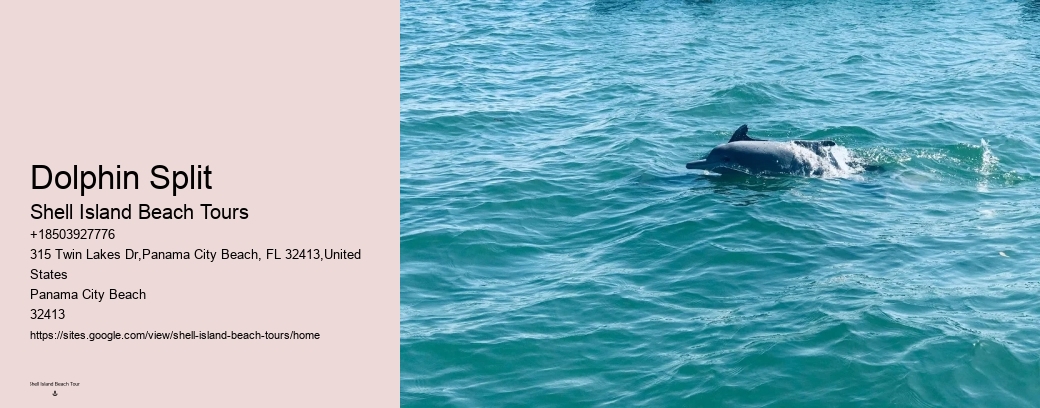 Dolphin Split