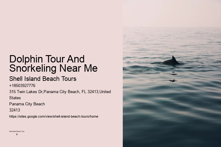 Panama City Beach Dolphin Tours & More Tours