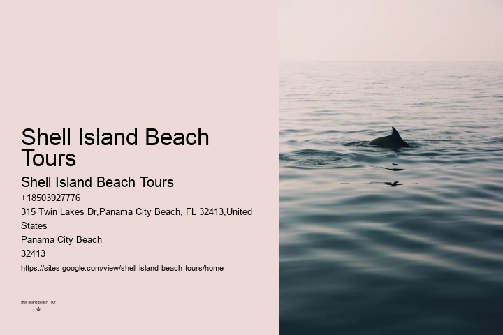 Tour Operator