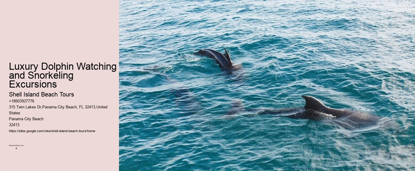 How do I get to the departure point for the dolphin tour