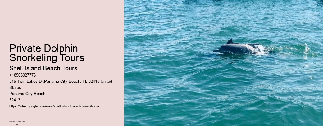 Private Dolphin Snorkeling Tours