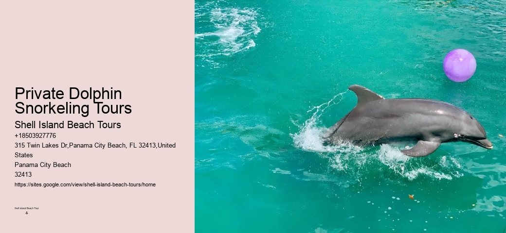 Do Dolphins Swim Humans To Shore