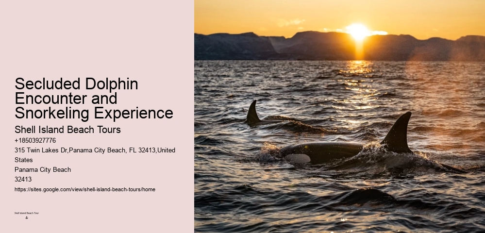 Salty Dogs Dolphin And Adventure Tours