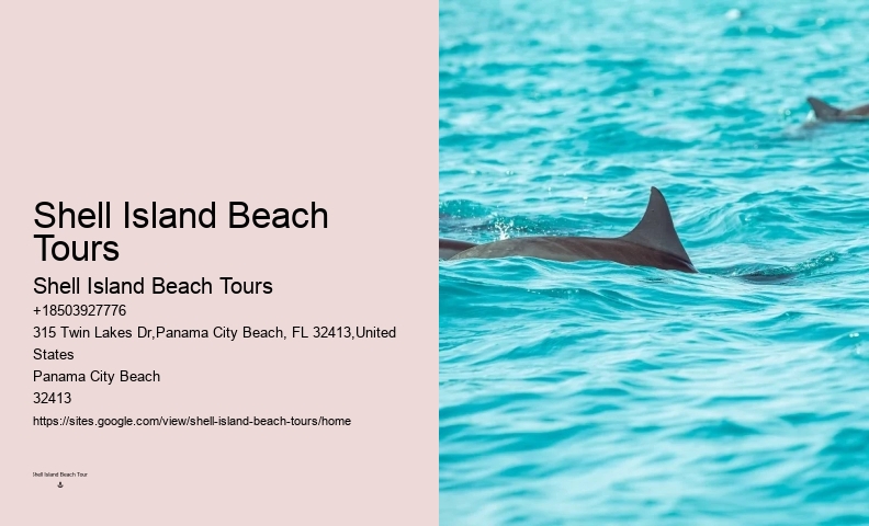 Deluxe Dolphin Swim and Snorkeling Trips