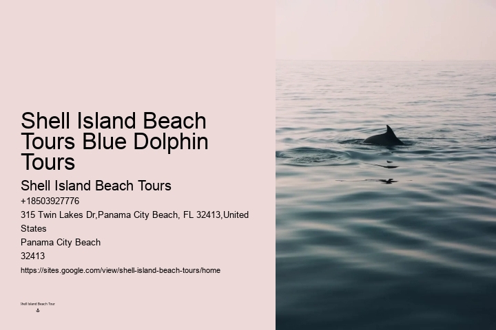 Can I Swim With Dolphins If I Can't Swim