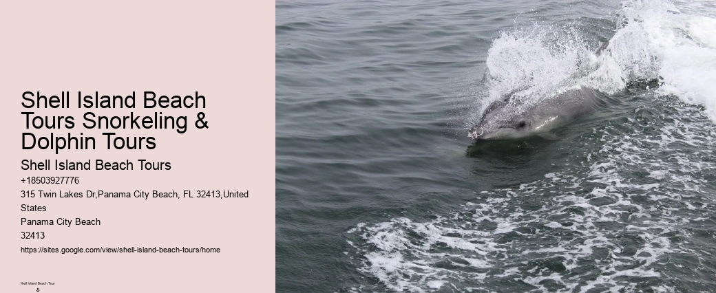 Panama City Beach dolphin excursion trips