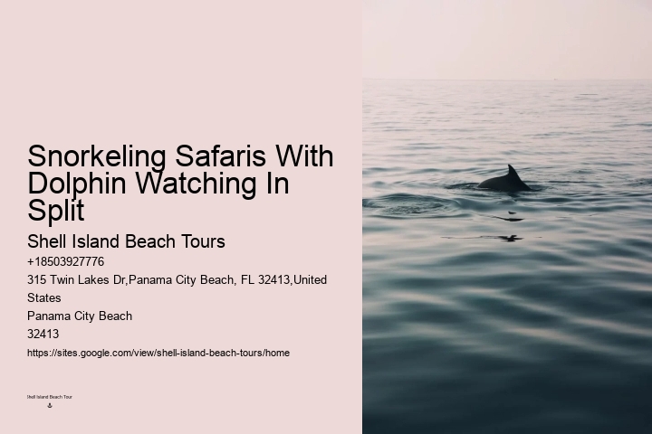Dolphin Cruise And Snorkeling Adventure