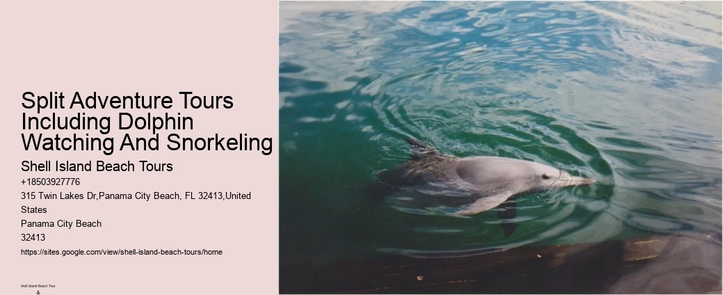 Why Is It Good To Swim With Dolphins When Pregnant